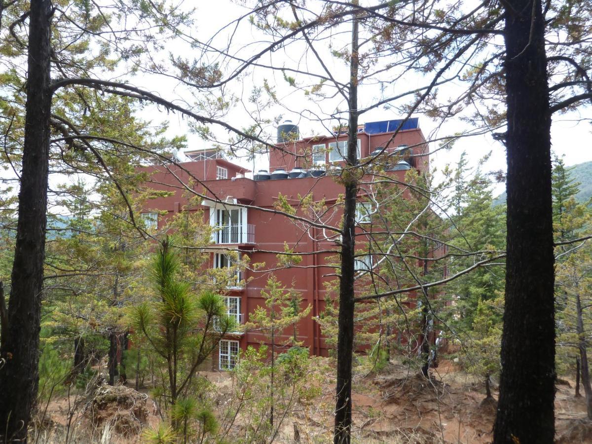 Hotel Gold El Oro de Hidalgo Εξωτερικό φωτογραφία